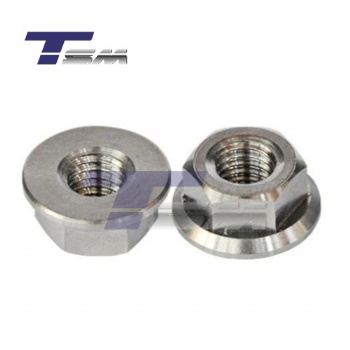 DIN 6923 Hex Flange Nut